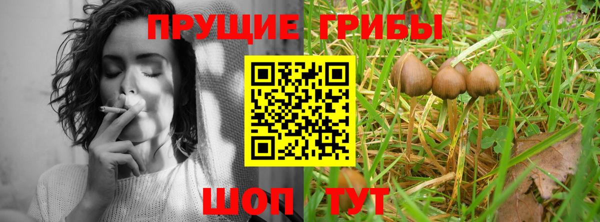 Галлюциногенные грибы прущие грибы Кропоткин