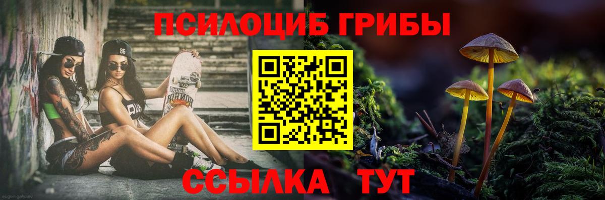 купить наркоту  Псилоцибиновые грибы мухоморы  Вход с VPN  Кропоткин 